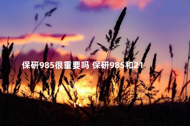 保研985很重要吗 保研985和211区别大吗